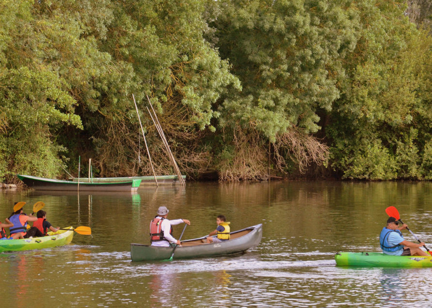 Canoë-Kayak touristic animation